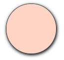 [SPAN22] Stock Plan Nylon B2 M22 Rose New York ArSunBack (copie)
